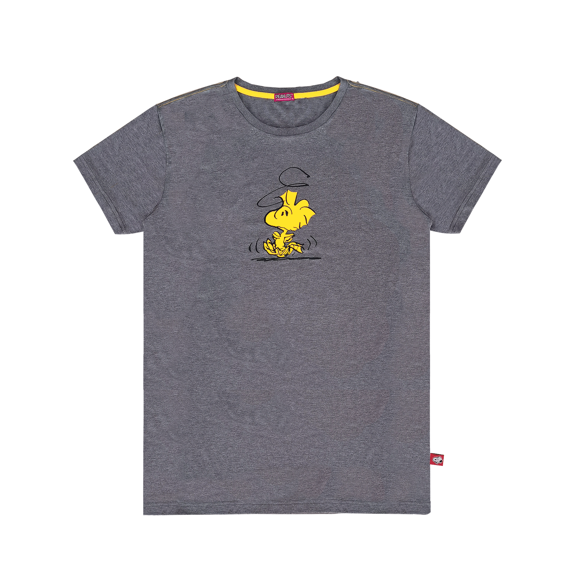 Peanuts Unisex Graphic T-Shirt I COMMON SENSE