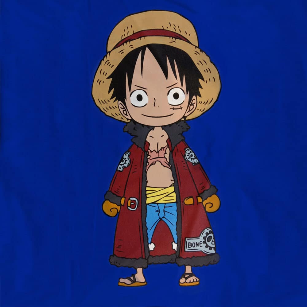 One Piece Kids Graphic T-Shirt I COMMON SENSE