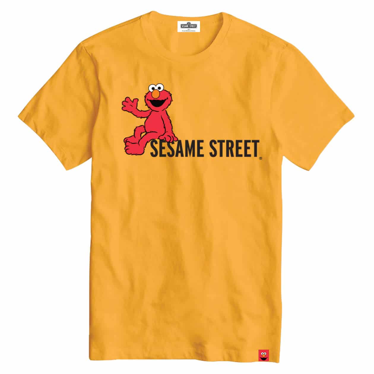 Sesame Street Unisex Graphic T-Shirt (Oversized) I COMMON SENSE